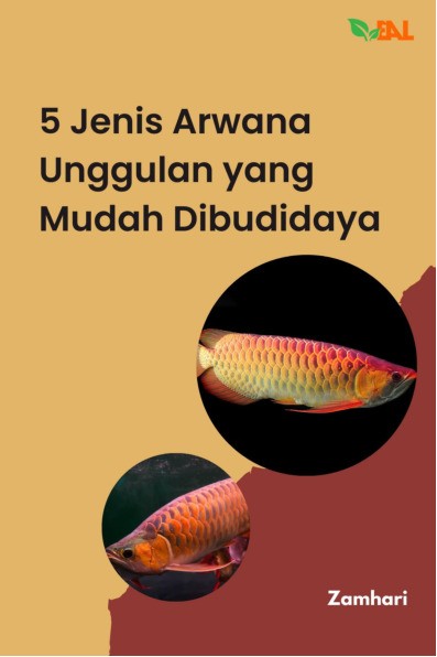5 Jenis Arwana Unggulan yang Mudah Dibudidaya